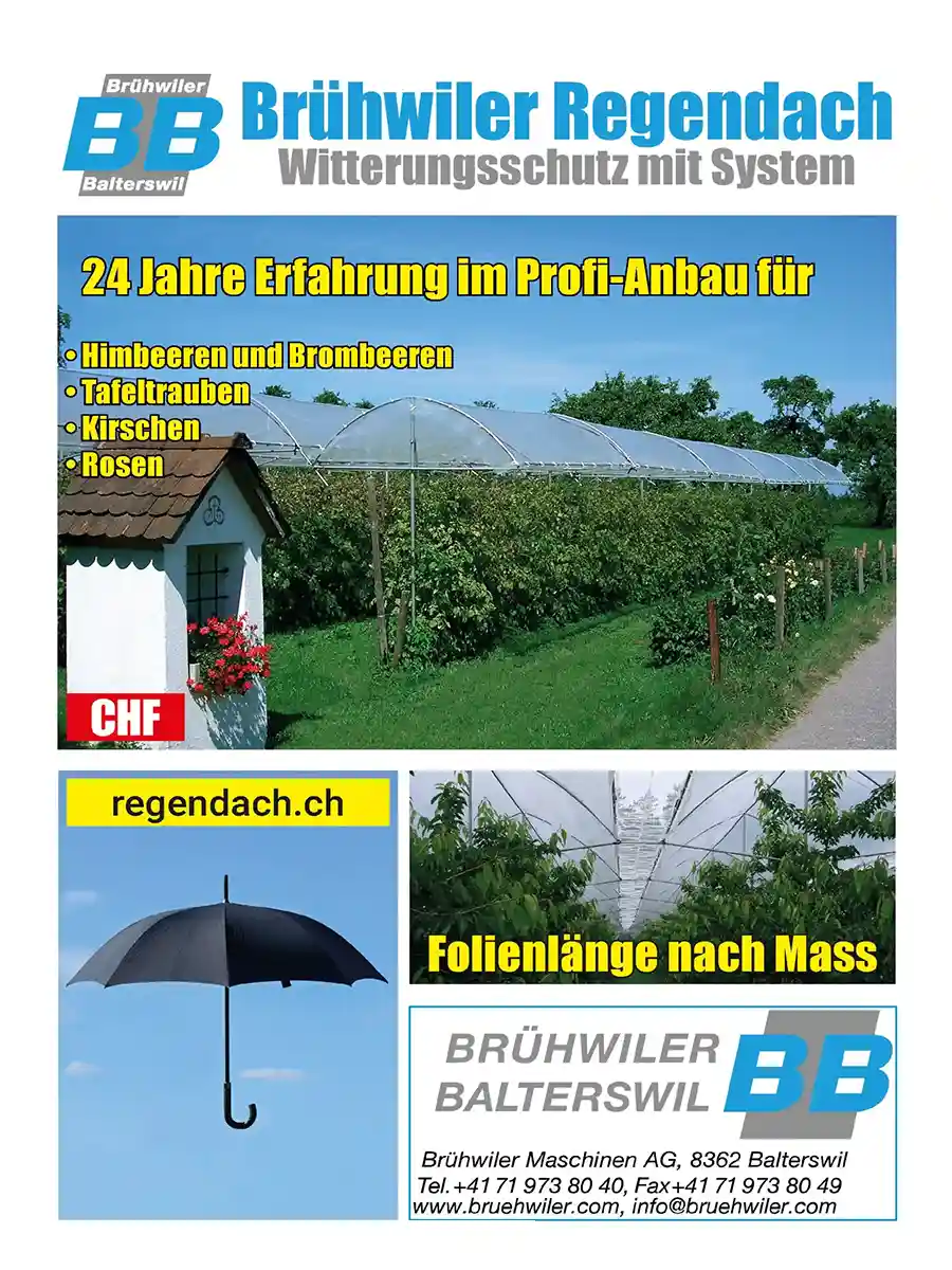 Brühwiler Regendach Katalog