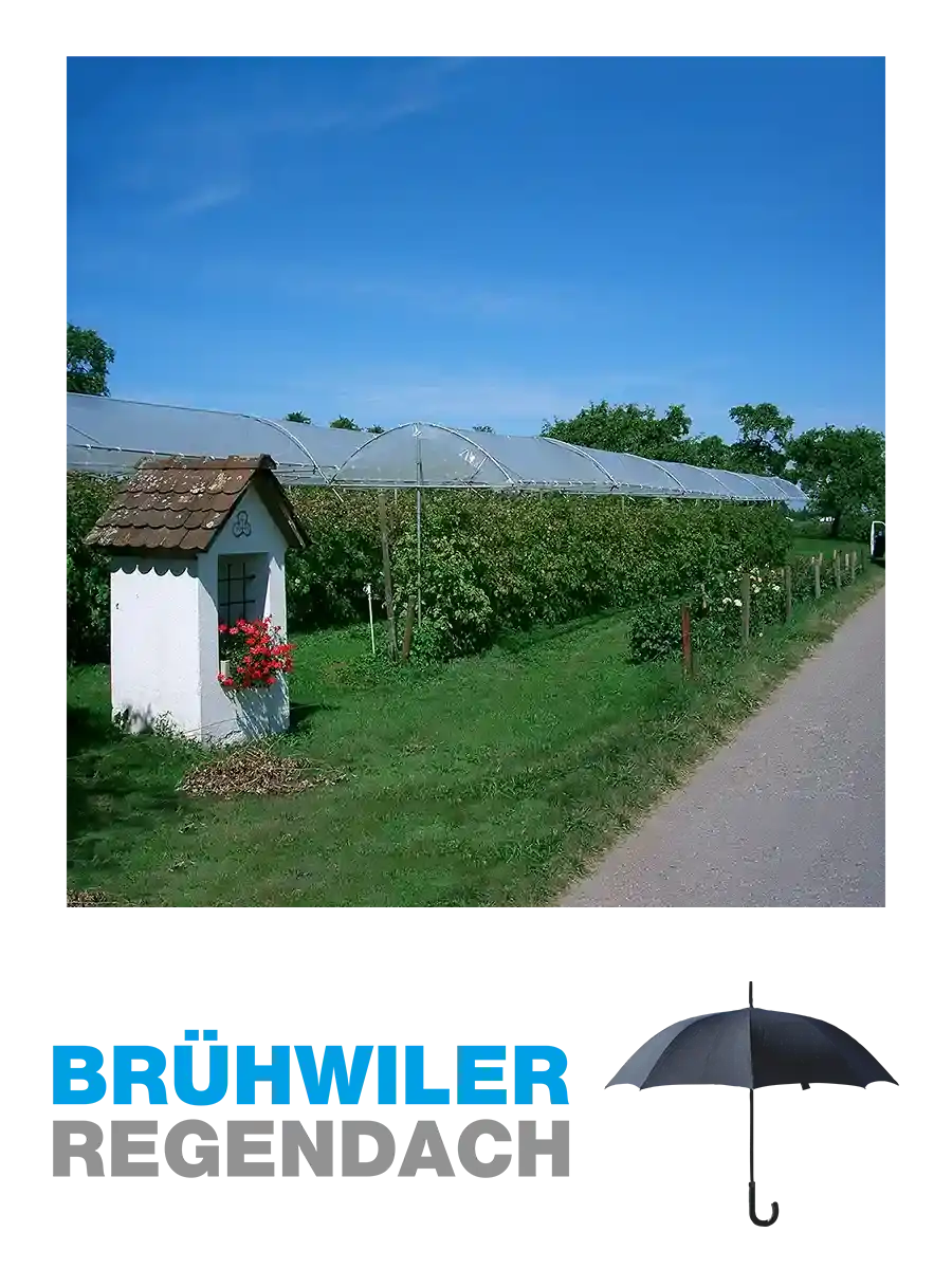 Brühwiler Regendach Logo